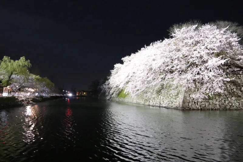彦根観光センター前のお堀は、夜空に映える圧巻の夜景