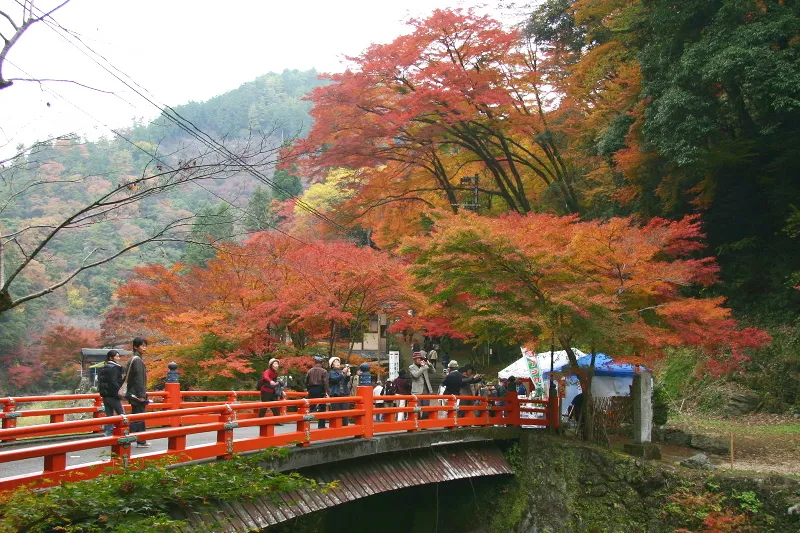 高雄