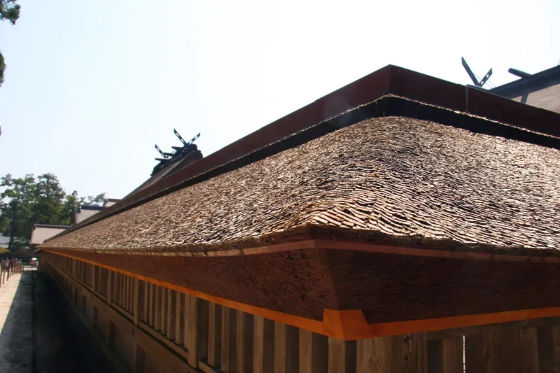 回廊のように建てられている瑞垣の修造された檜皮