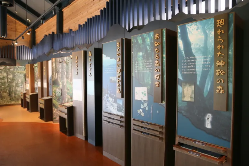 大台ヶ原の自然や歴史を解説した展示コーナー 
