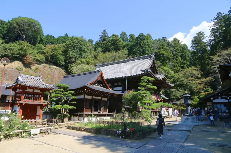 緑に囲まれた森の中にたたずむ創建１３００年の歴史ある岡寺