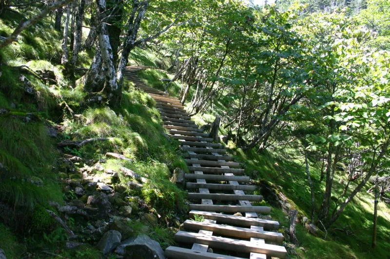 急坂に加え、標高１７００ｍ付近にある木階段 