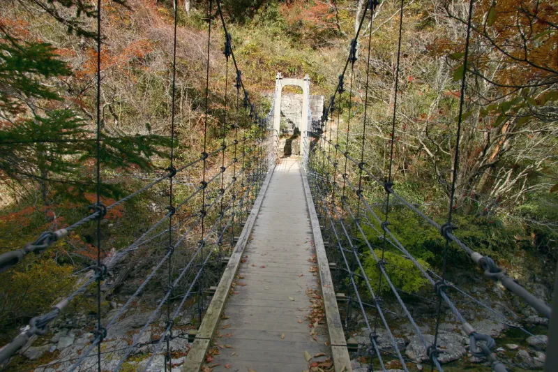 静かな森の中に架けられているシオカラ谷吊り橋 