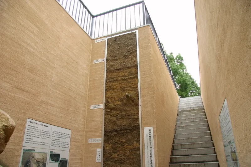 地下４ｍに及ぶ、江戸時代の地層を実物展示 