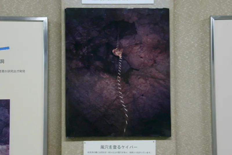 秋芳洞の奥にある高さ３０ｍの巨大空間を登る写真 