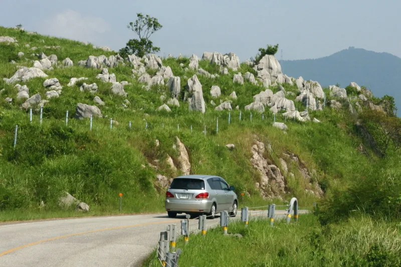 道路脇でもたくさん見られる石灰岩柱 