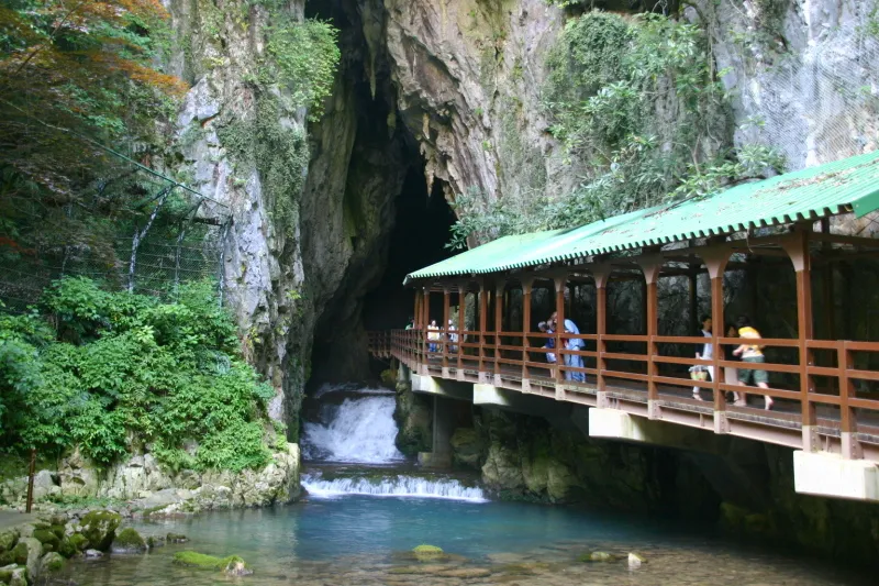 山口県を代表する観光名所の秋芳洞 