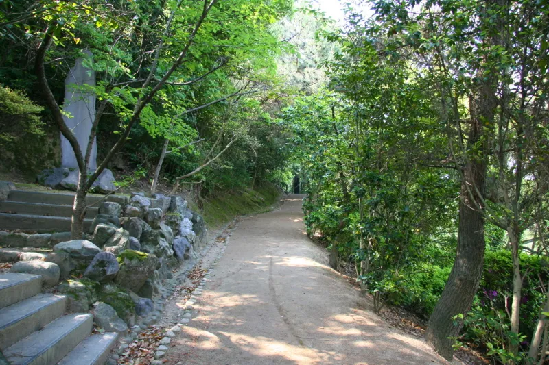 木々に覆われる遊歩道が整備され、自然散策もできる公園 