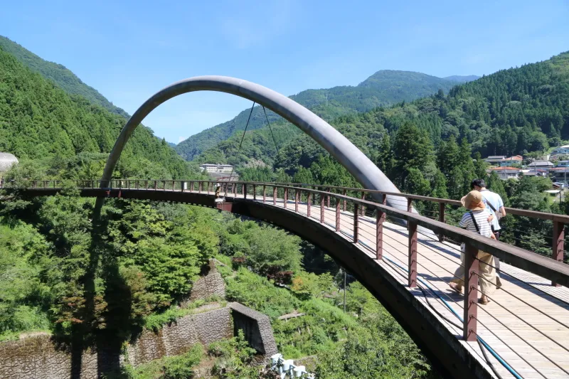 公園のシンボルとなっている祖谷ロマン橋 