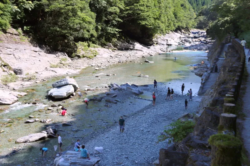 滝の下は祖谷川が流れていて河原に下りて水遊びする光景