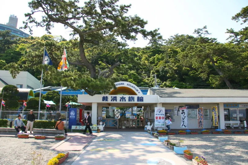桂浜水族館 