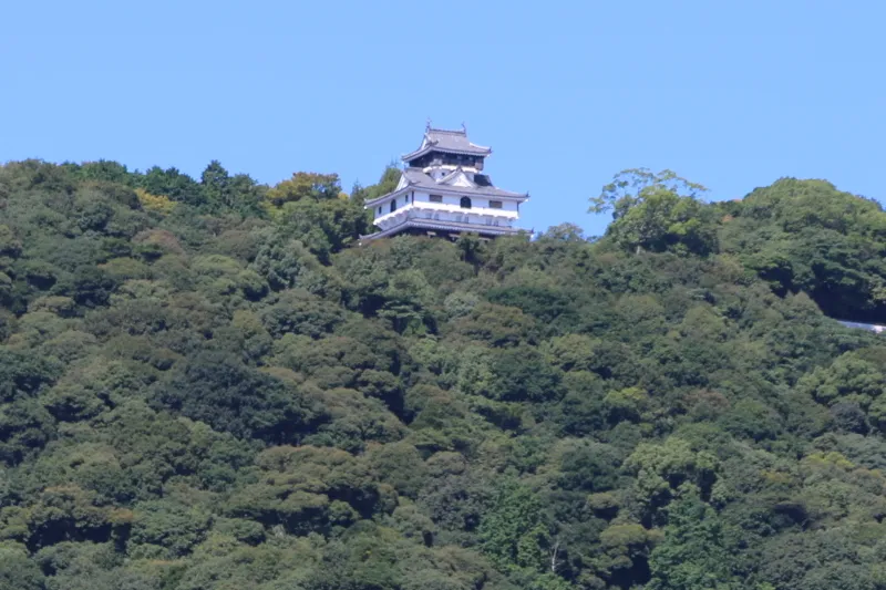 遙か山の上に小さく見える岩国城の天守閣 