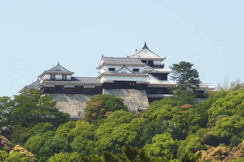 標高１３２ｍの山頂に築かれている松山城 