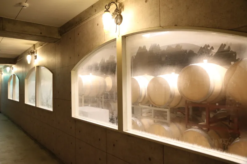 ワイン樽がたくさん並べられている地下貯蔵庫 