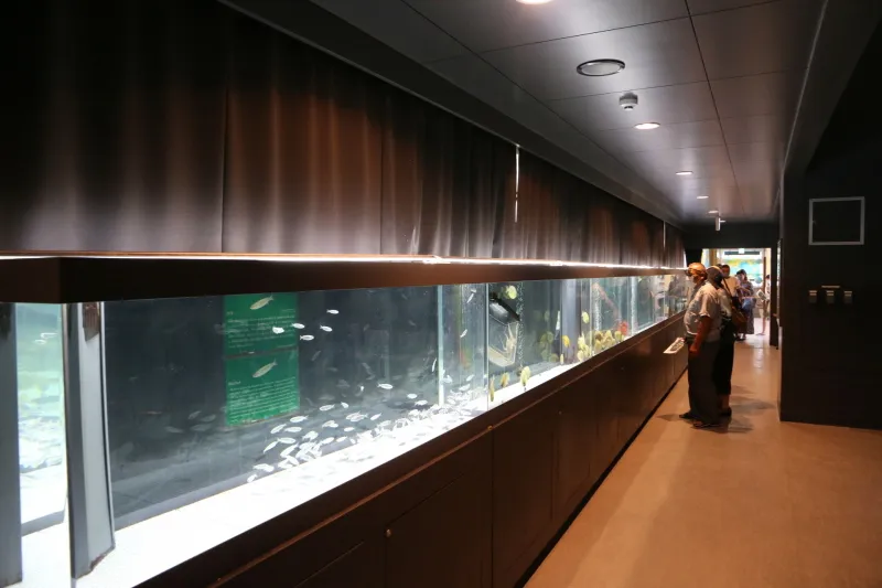 かつての長い廊下には水槽が並び、様々な魚を展示 