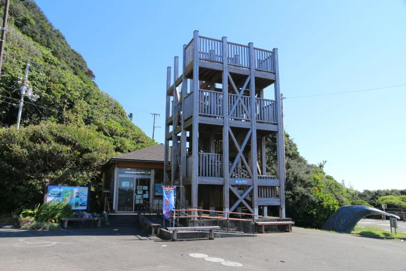 道路沿いに設置されている無料の展望タワー 