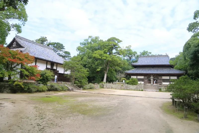 江戸時代の初期に建てられた金堂（左側）と講堂（右側） 