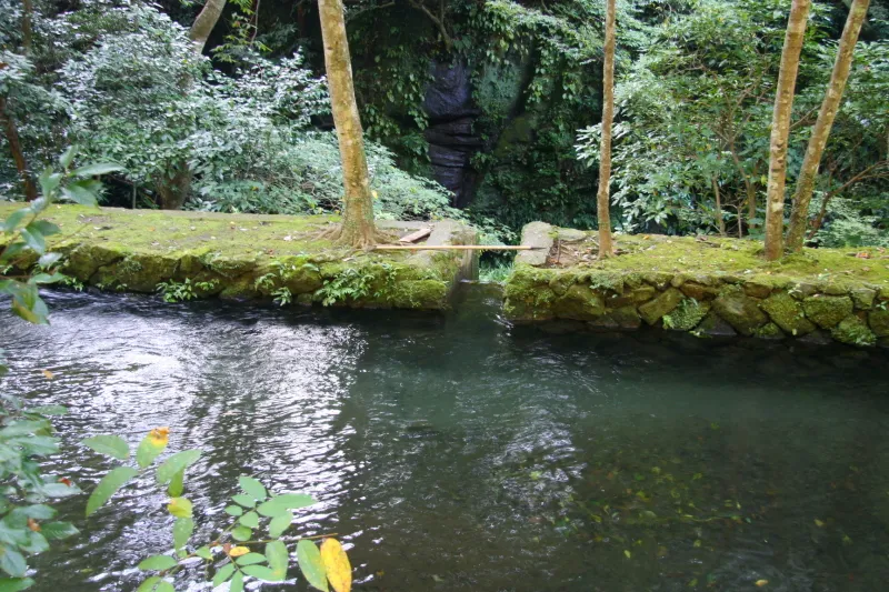 滝の上部は池となっていて一年を通して安定した水量 