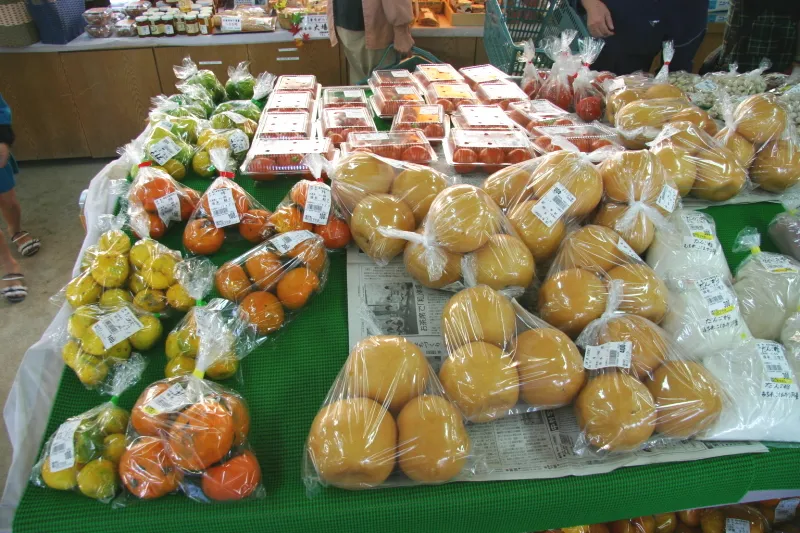 地元の野菜や果物なども販売され、新鮮でお手頃価格 