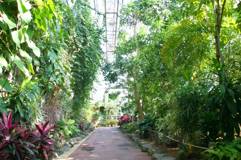 熱帯植物や果実を見ることのできる温室施設 