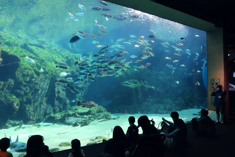 １００００匹の魚が泳ぐ、館内で最大規模を誇る大水槽 