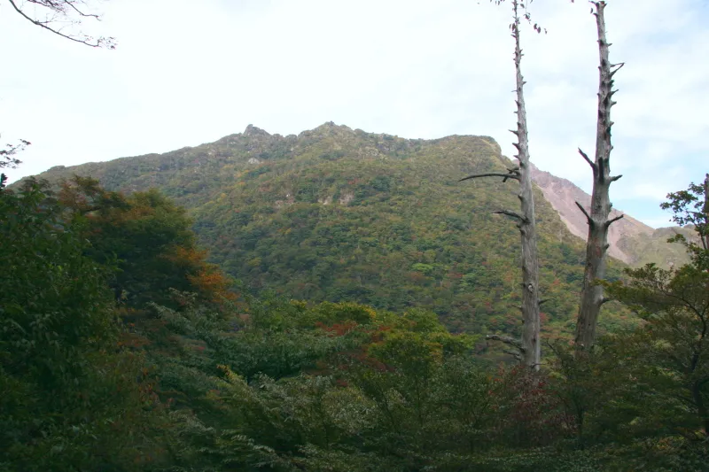 さらに進むと木々の間から見える普賢岳の山頂 