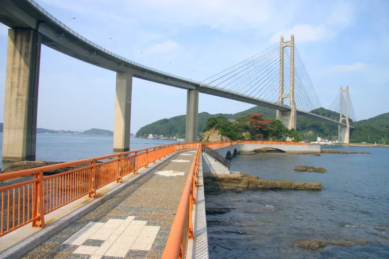 橋の中央へ道が延びる全長２２０ｍの弁天遊歩橋 