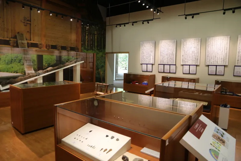 吉野ヶ里遺跡の出土した品々が並ぶ、植物の展示室 