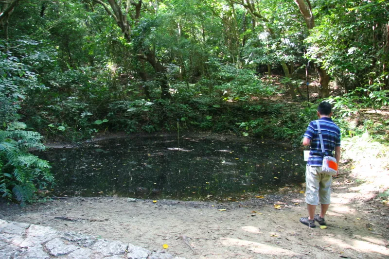 沖縄戦の艦砲射撃によって空いた穴に水が溜まっている池 