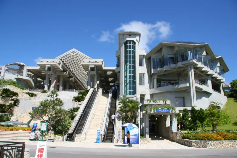 沖縄美ら海水族館 