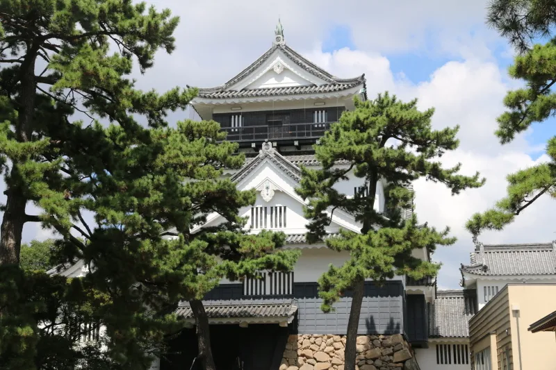 ３層５階建で復元された岡崎城の天守閣 