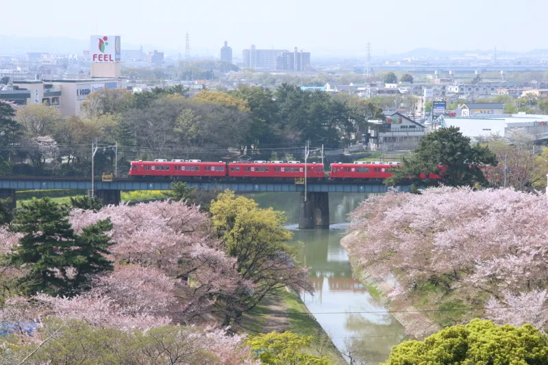 春には桜並木も見られ、名鉄の電車が通過する光景 