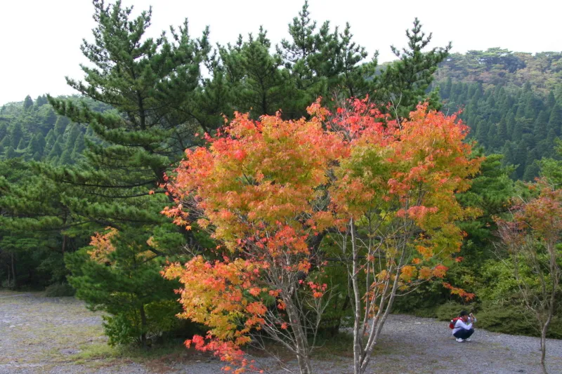 訪れたのが初秋だったため、ところどころで色づいていた紅葉 