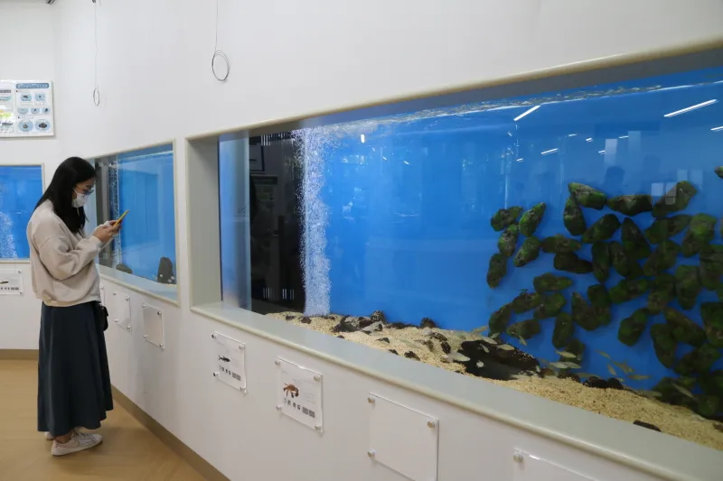 万博公園に住む魚を飼育展示する淡水魚コーナー 