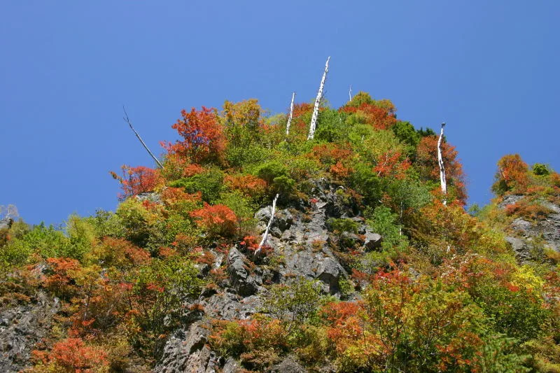訪れた１０月上旬、色鮮やかな断崖絶壁の紅葉 